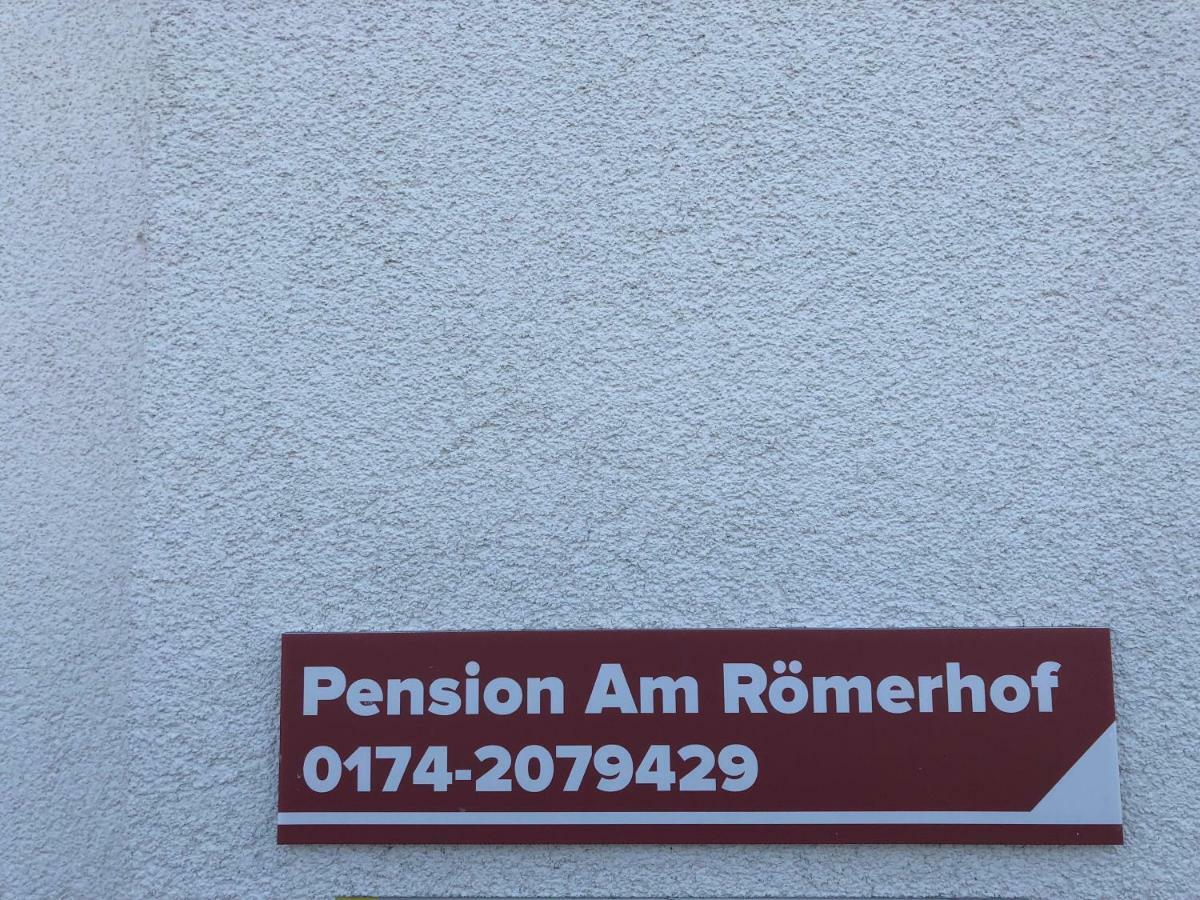 Pension Am Roemerhof Münzenberg Екстериор снимка